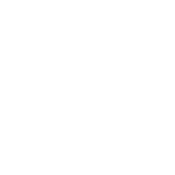 IVP Logo